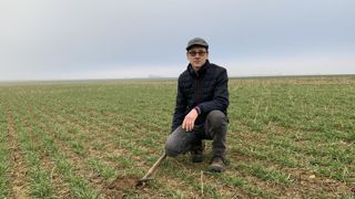 Pour cette campagne, Christophe a implanté son blé en semis direct, après un couvert de radis chinois, colza, vesce velue, trèfle d'Alexandrie et phacélie. Pour cette campagne, Christophe a implanté son blé en semis direct, après un couvert de radis chinois, colza, vesce velue, trèfle d'Alexandrie et phacélie.